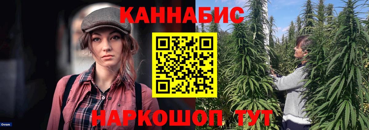 Бошки марихуана индика  Бошки марихуана индика  Вход с VPN  Орехово-Зуево 
